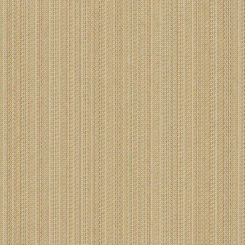 Beeline - Dash - 1015 - 06