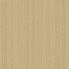 Beeline - Dash - 1015 - 06