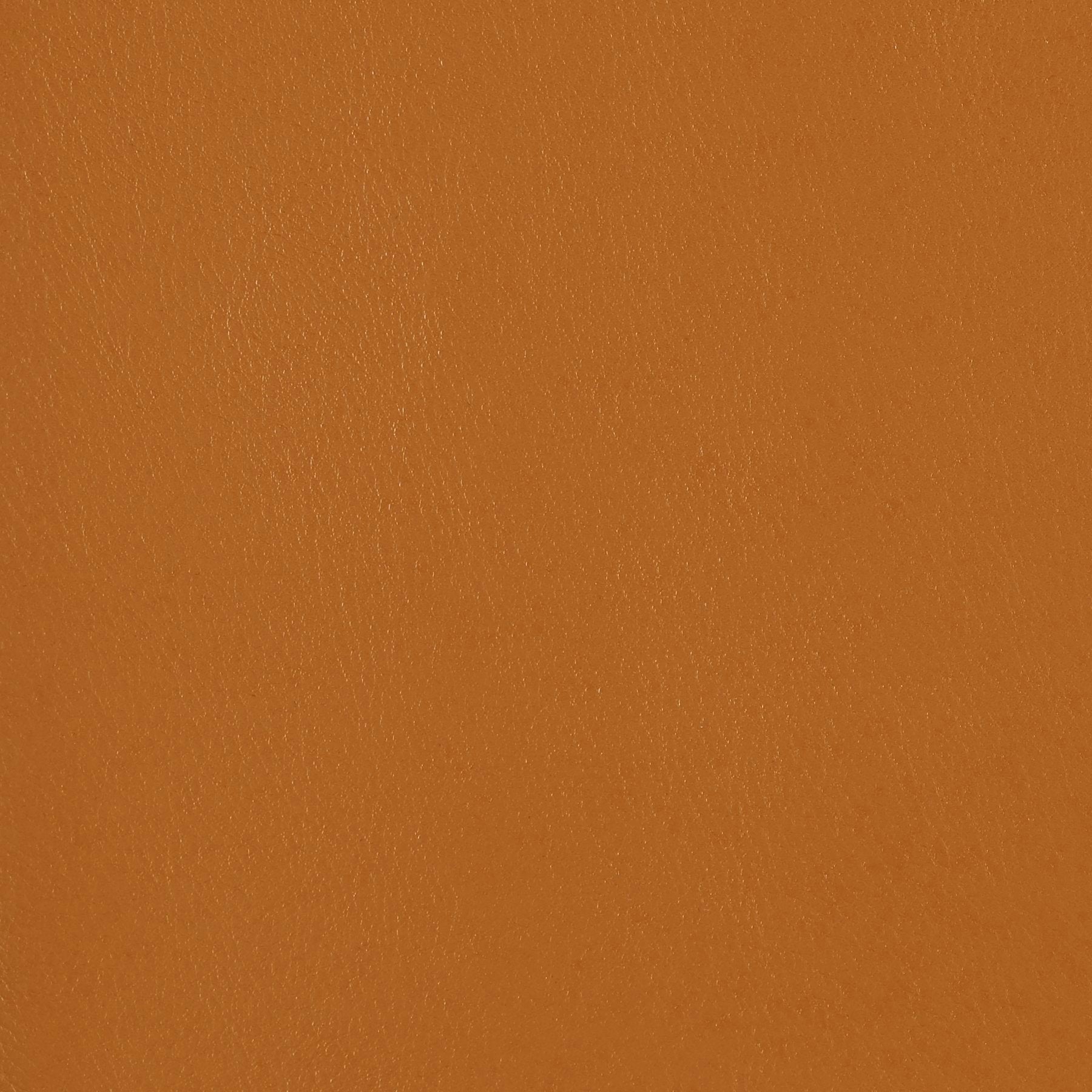 Fine Grain - Ginger Snap - 4046 - 16