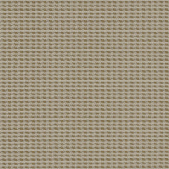 Cross Dye - Light Birch - 4009 - 03