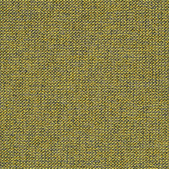 Adage - Holograph - 4069 - 13