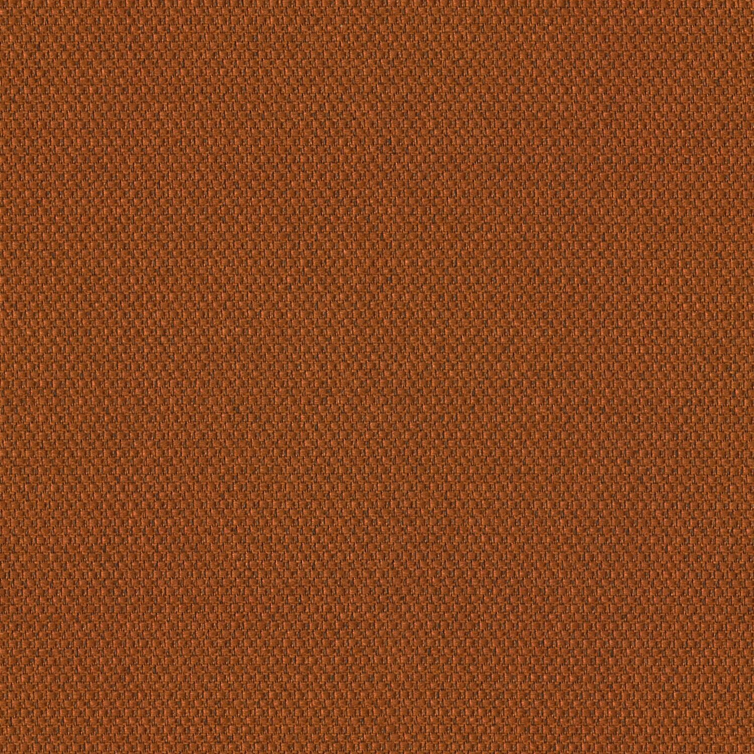Biotope - Infauna - 4113 - 08