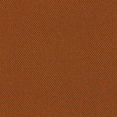 Biotope - Infauna - 4113 - 08