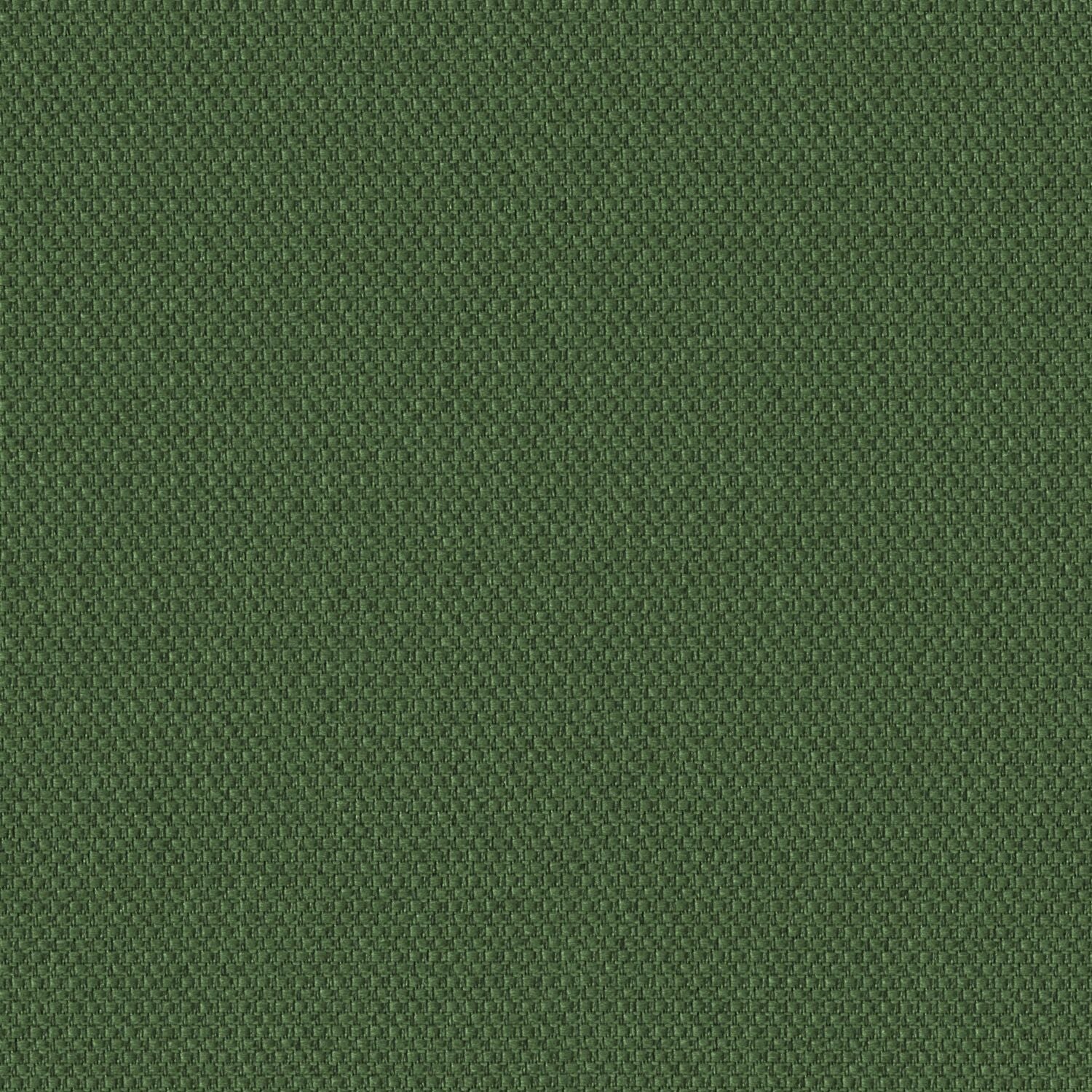 Biotope - Grasslands - 4113 - 15
