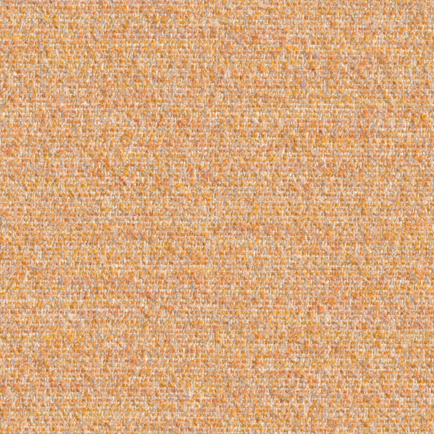 Cognition - Concentrate - 4130 - 06 - Half Yard