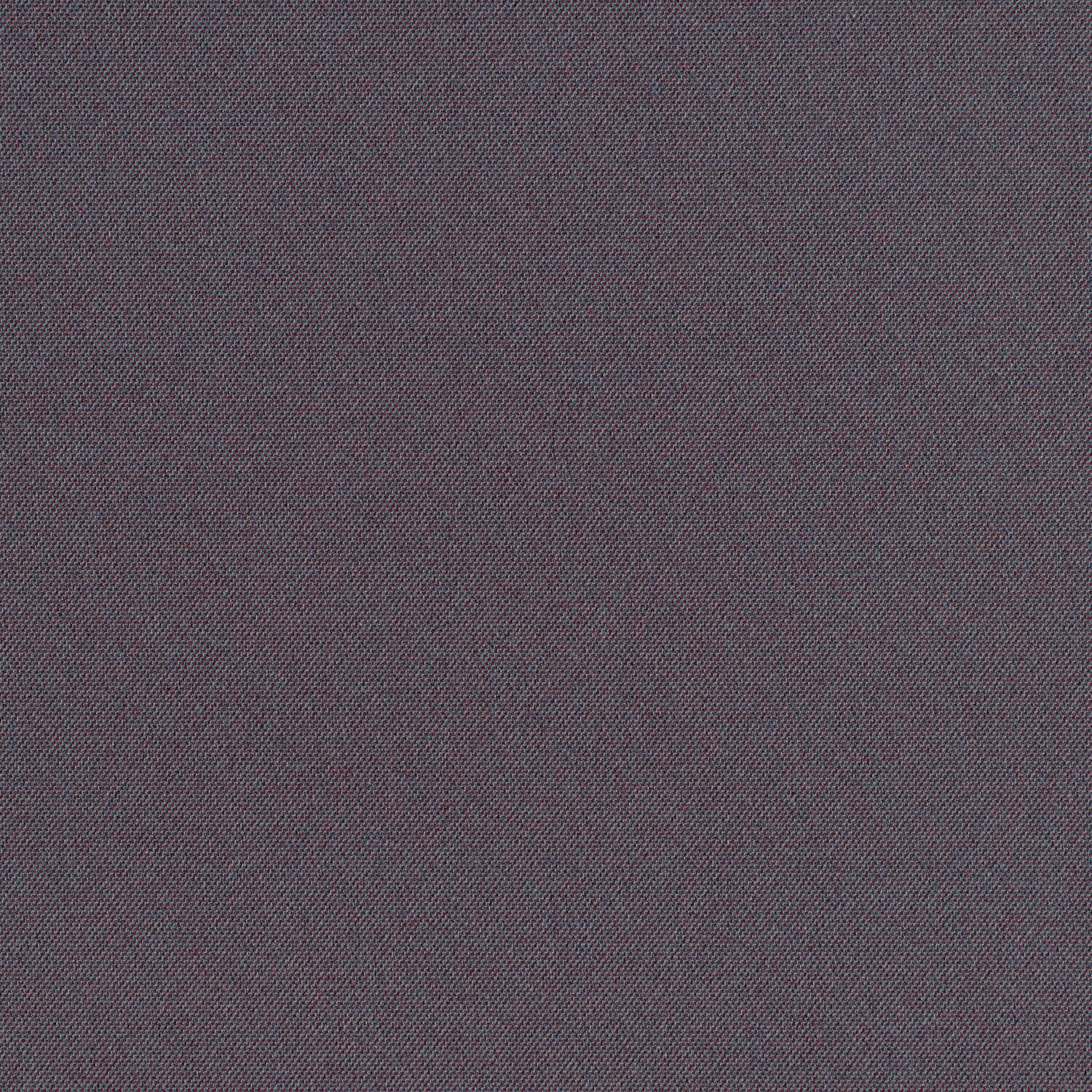 Cult Classic - Purple Noon - 1031 - 08