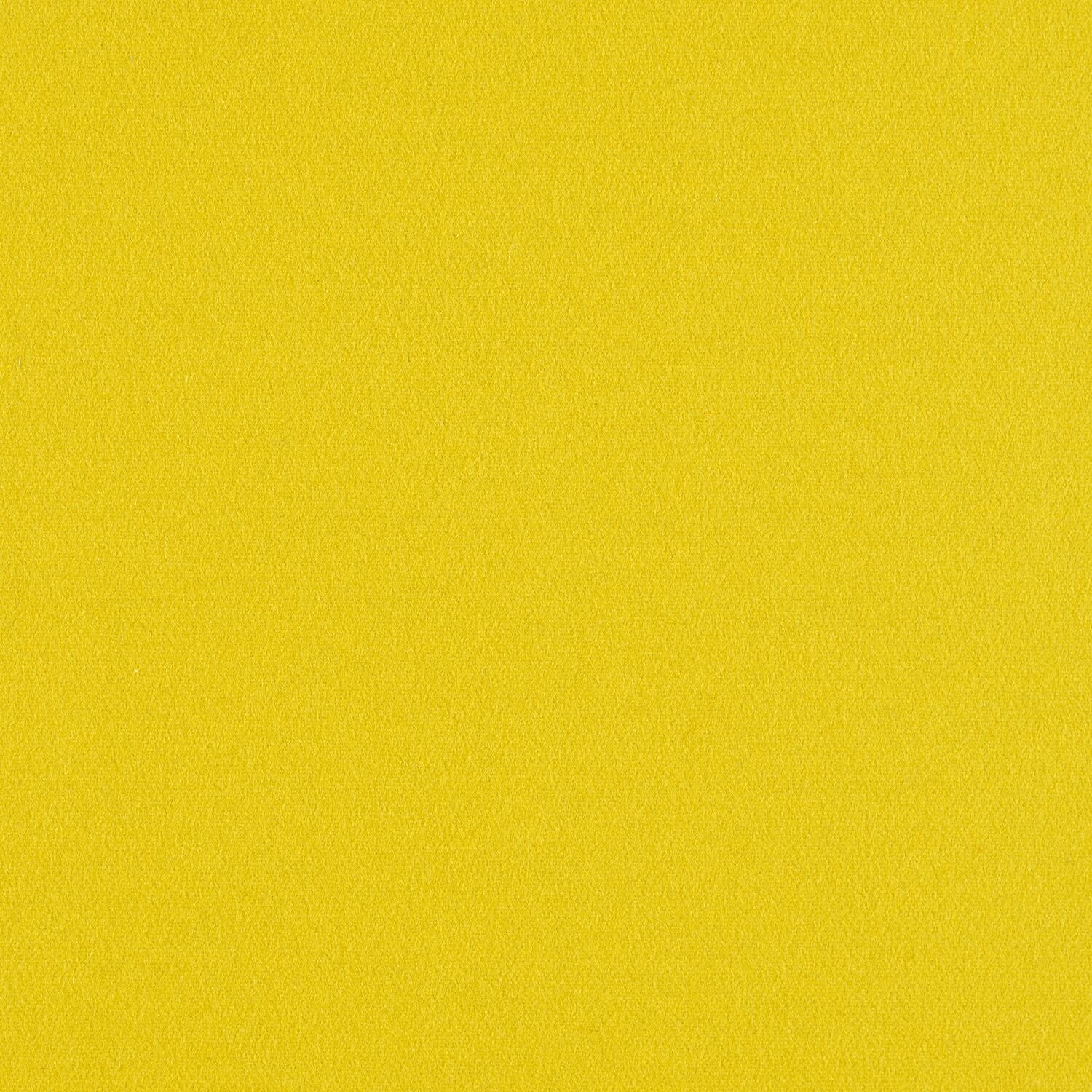 Construct - Canary - 4079 - 13