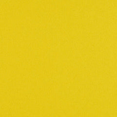 Construct - Canary - 4079 - 13