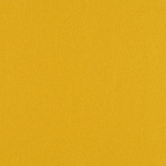 Construct - Turmeric - 4079 - 14