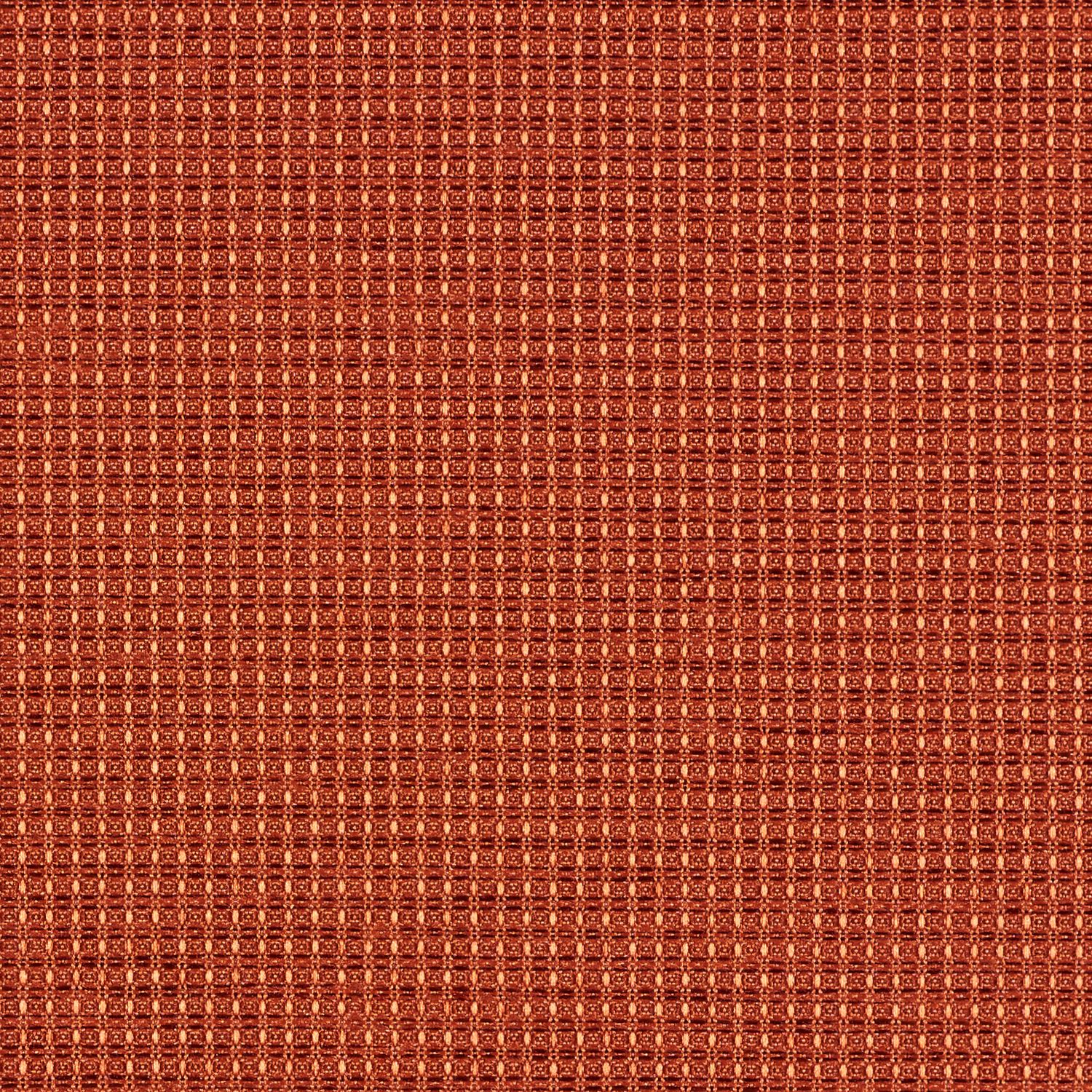 Complement - Arancia - 4042 - 07
