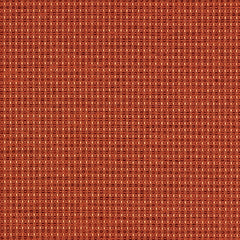Complement - Arancia - 4042 - 07