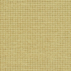 Complement - Amarillo - 4042 - 06