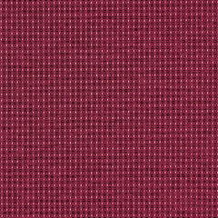 Complement - Garnet - 4042 - 09 - Half Yard
