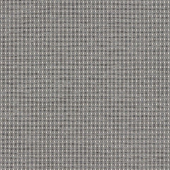 Complement - Grey Wolf - 4042 - 03