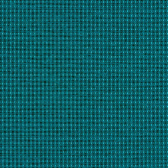 Complement - Peacock - 4042 - 12 - Half Yard