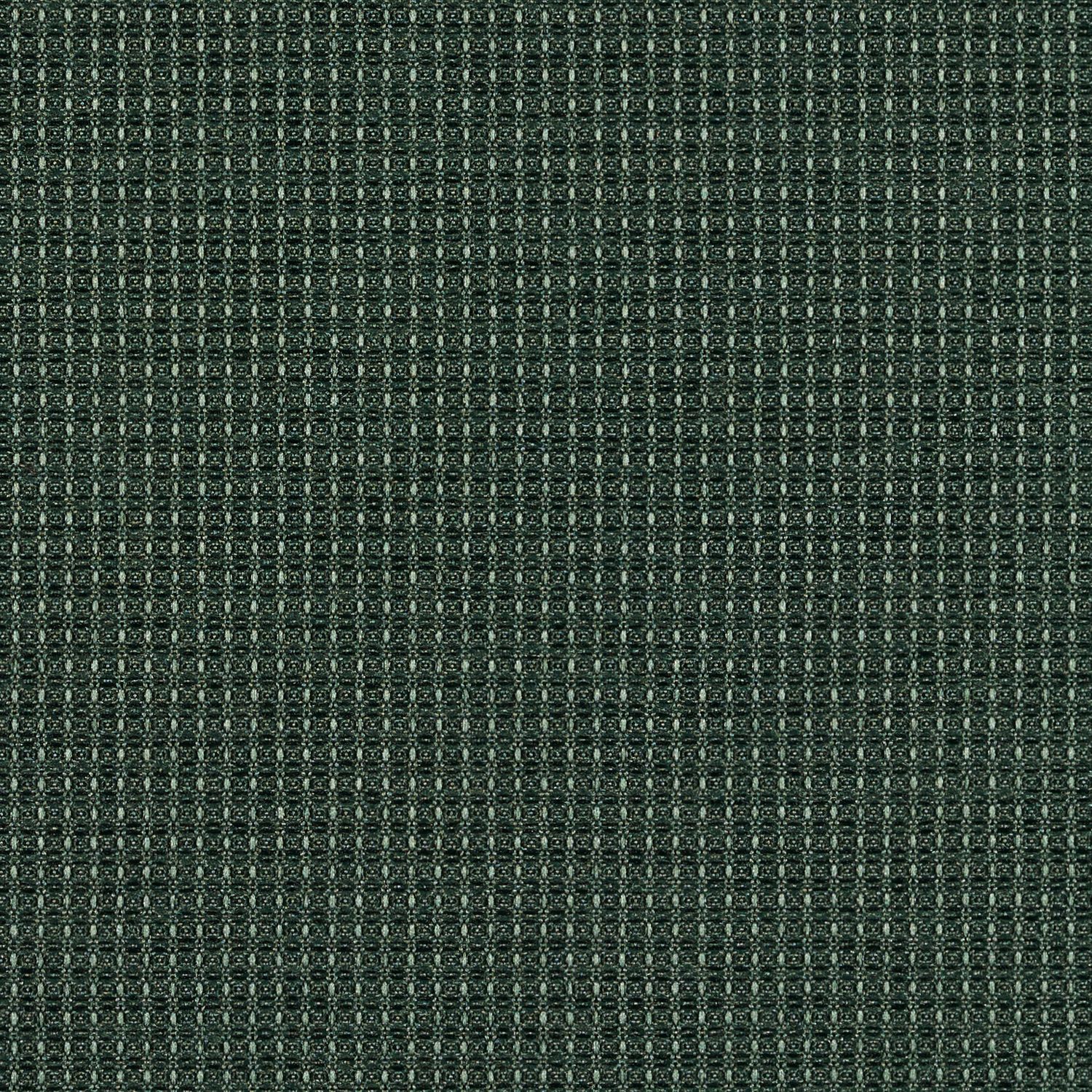 Complement - Pine - 4042 - 14