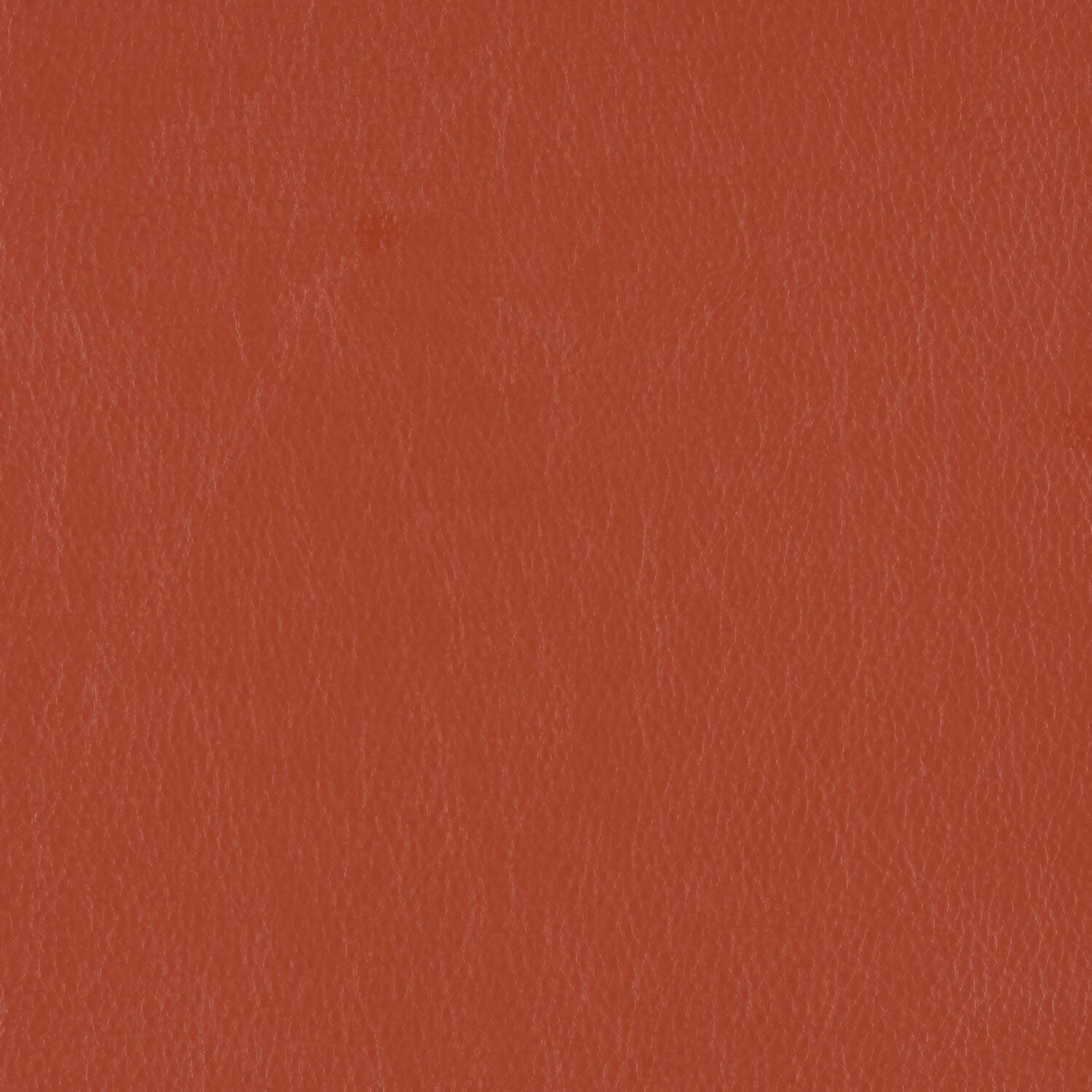 Decoy - Clandestine - 4087 - 22