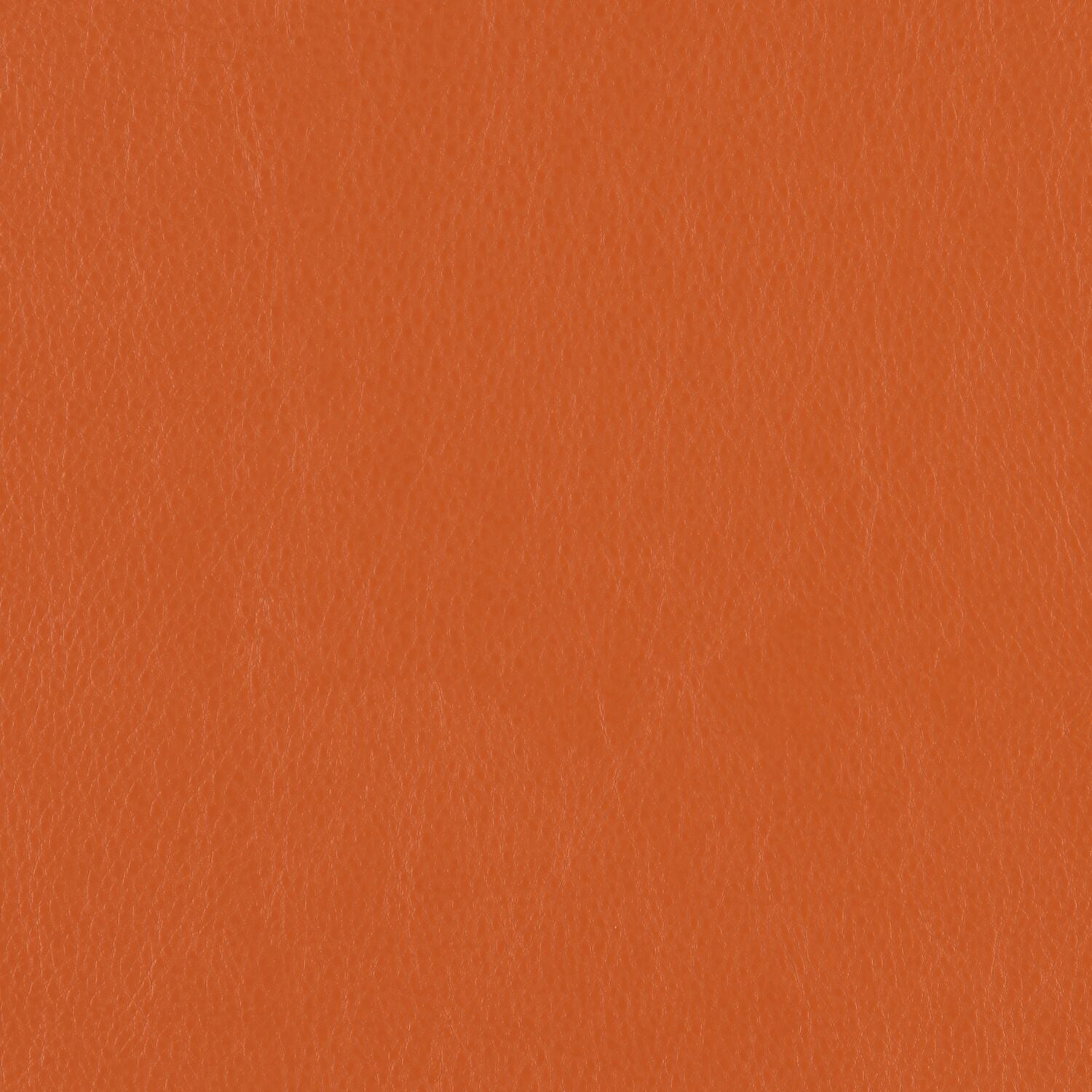 Decoy - Cahoots - 4087 - 23