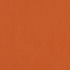 Decoy - Cahoots - 4087 - 23