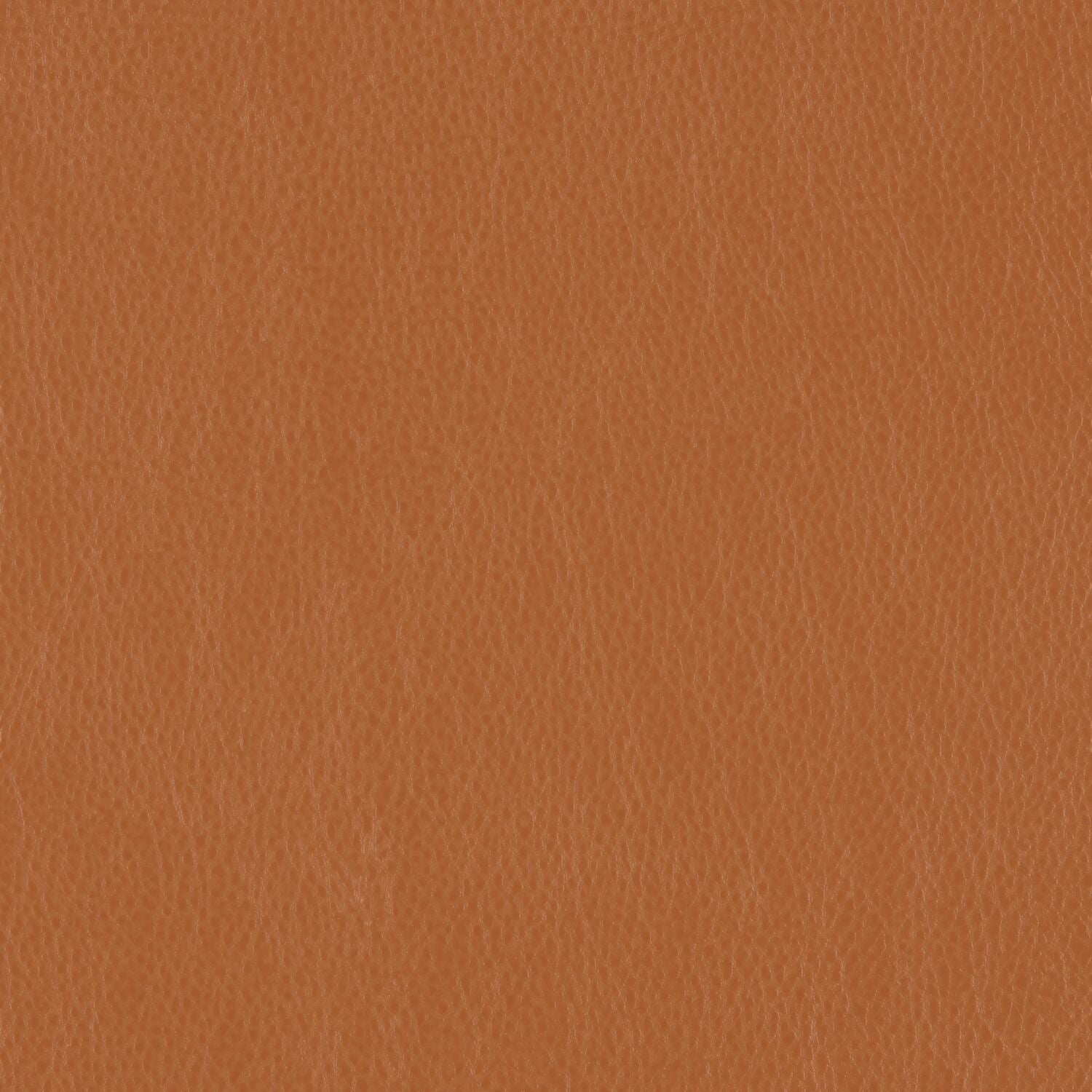 Decoy - Synonym - 4087 - 24 - Half Yard