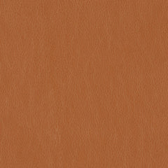 Decoy - Synonym - 4087 - 24