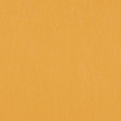 Decoy - Fool's Gold - 4087 - 35