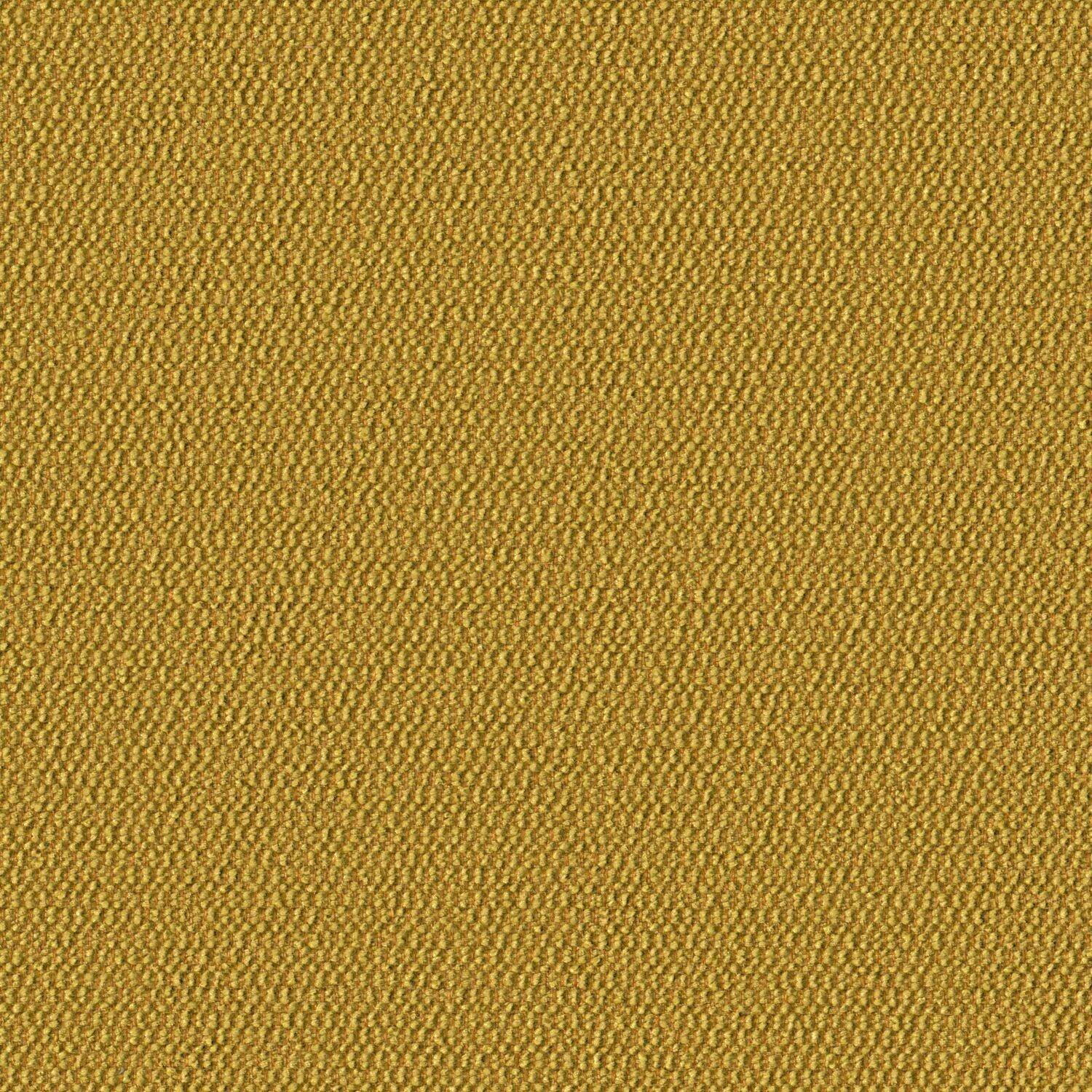 Demi Boucle - Chamomile - 2005 - 15 - Half Yard
