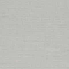 Elastic Wool - Clean - 4067 - 04