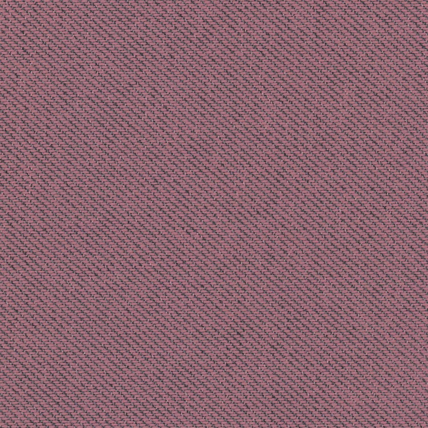Ecotone - Desert Bloom - 4092 - 08