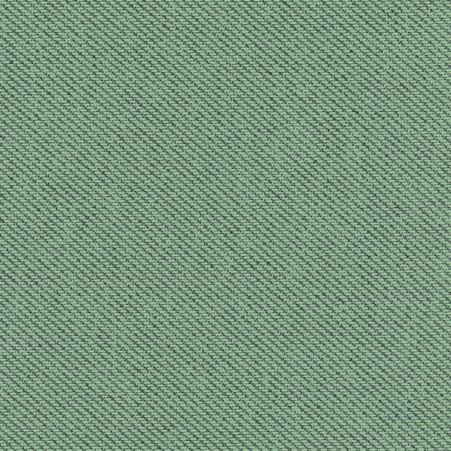 Ecotone - Lichen - 4092 - 14