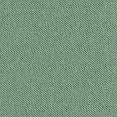 Ecotone - Lichen - 4092 - 14
