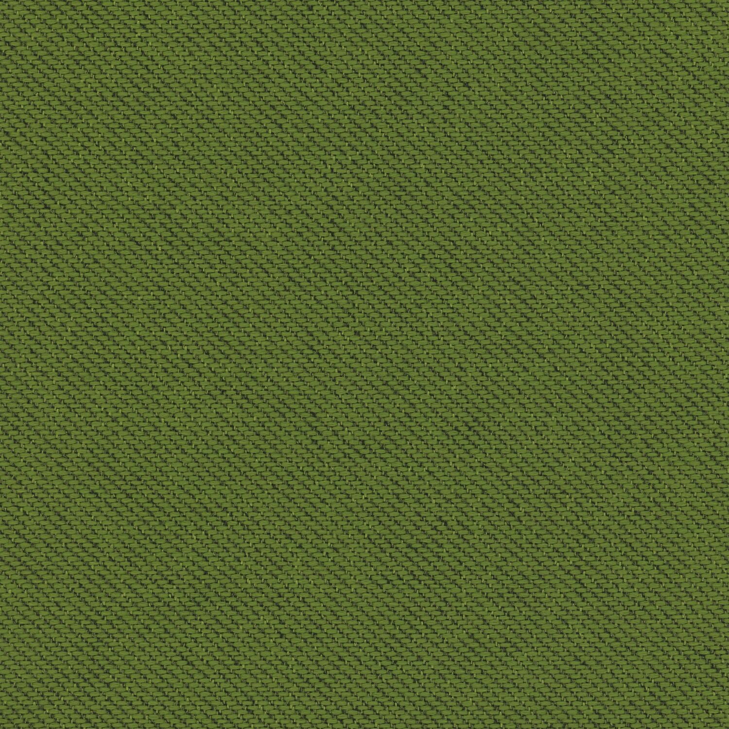 Ecotone - Mangrove - 4092 - 15
