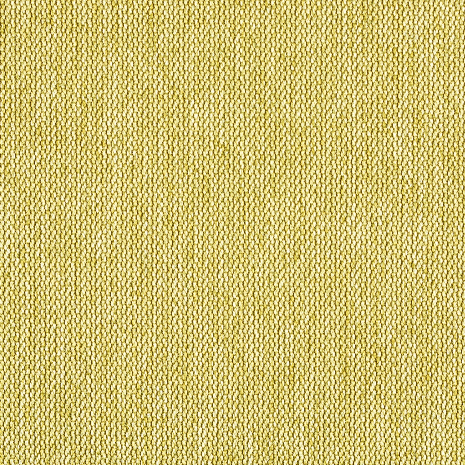 Percept - Epiphany - 4040 - 08