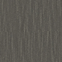 Contrast Slub - Charred Seed - 4115 - 01