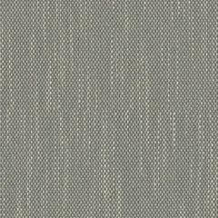 Contrast Slub - Silver Thyme - 4115 - 02