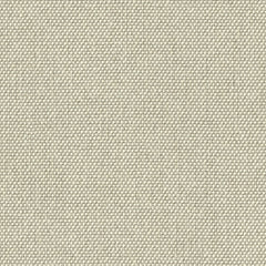 Contrast Slub - Cotton Blossom - 4115 - 03