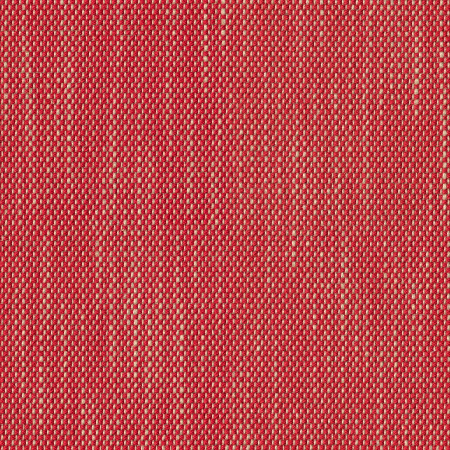 Contrast Slub - Scarlet Sage - 4115 - 08
