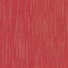 Contrast Slub - Scarlet Sage - 4115 - 08