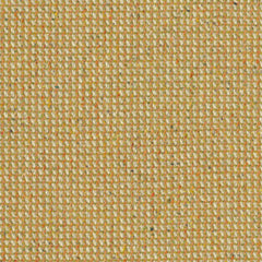 Graph Speck - Cob - 4106 - 06