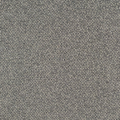 Haptic - Alluvium - 4093 - 03