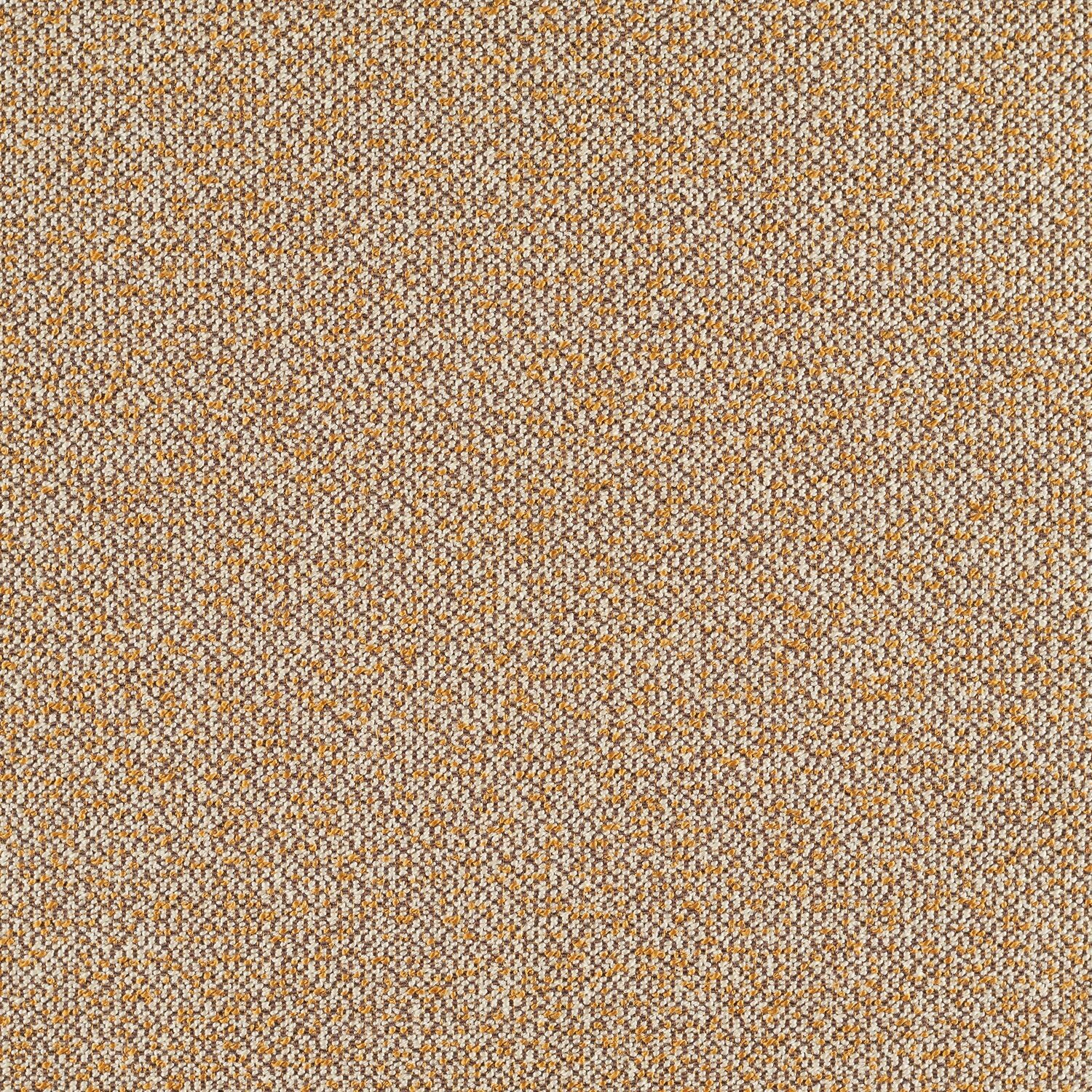 Haptic - Arroyo - 4093 - 08