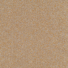 Haptic - Arroyo - 4093 - 08