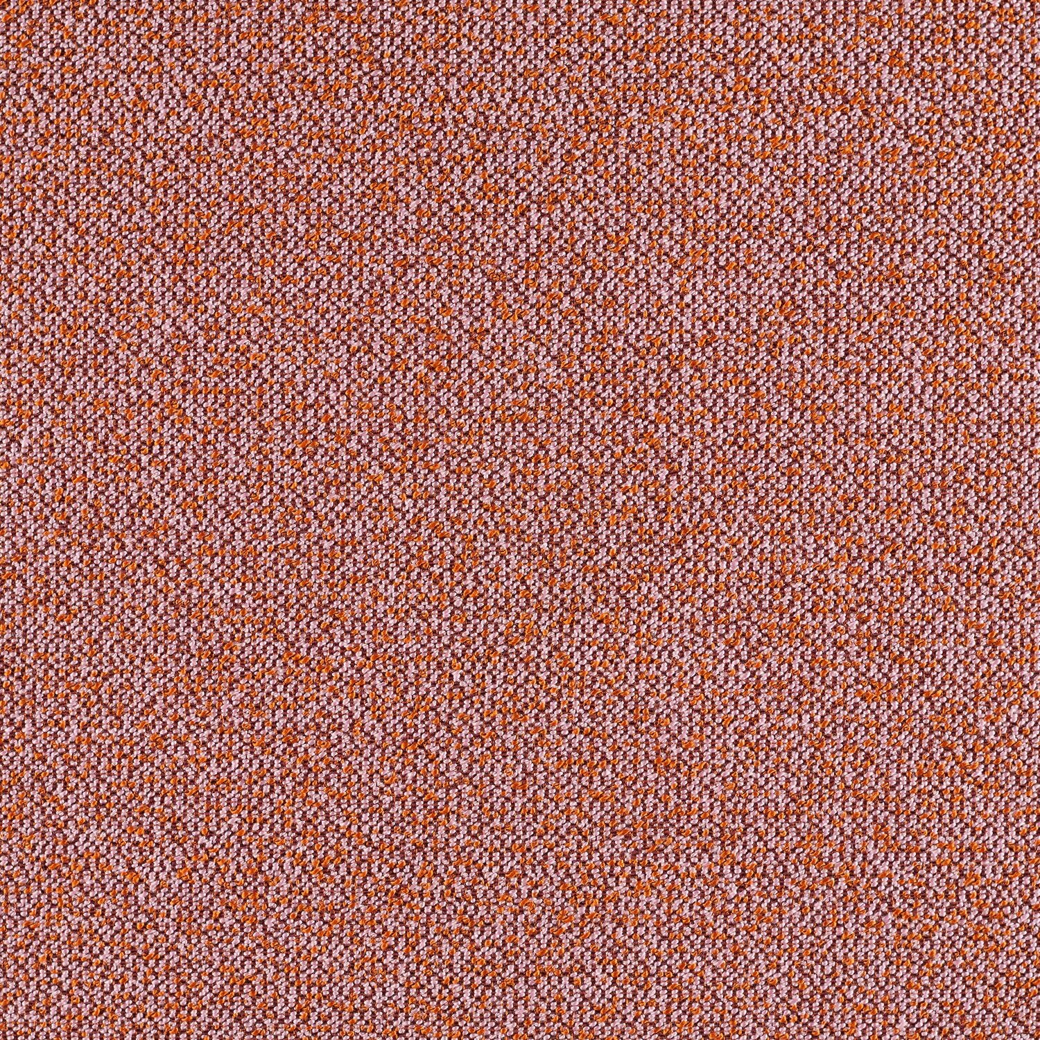 Haptic - Superbloom - 4093 - 09