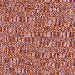 Haptic - Superbloom - 4093 - 09