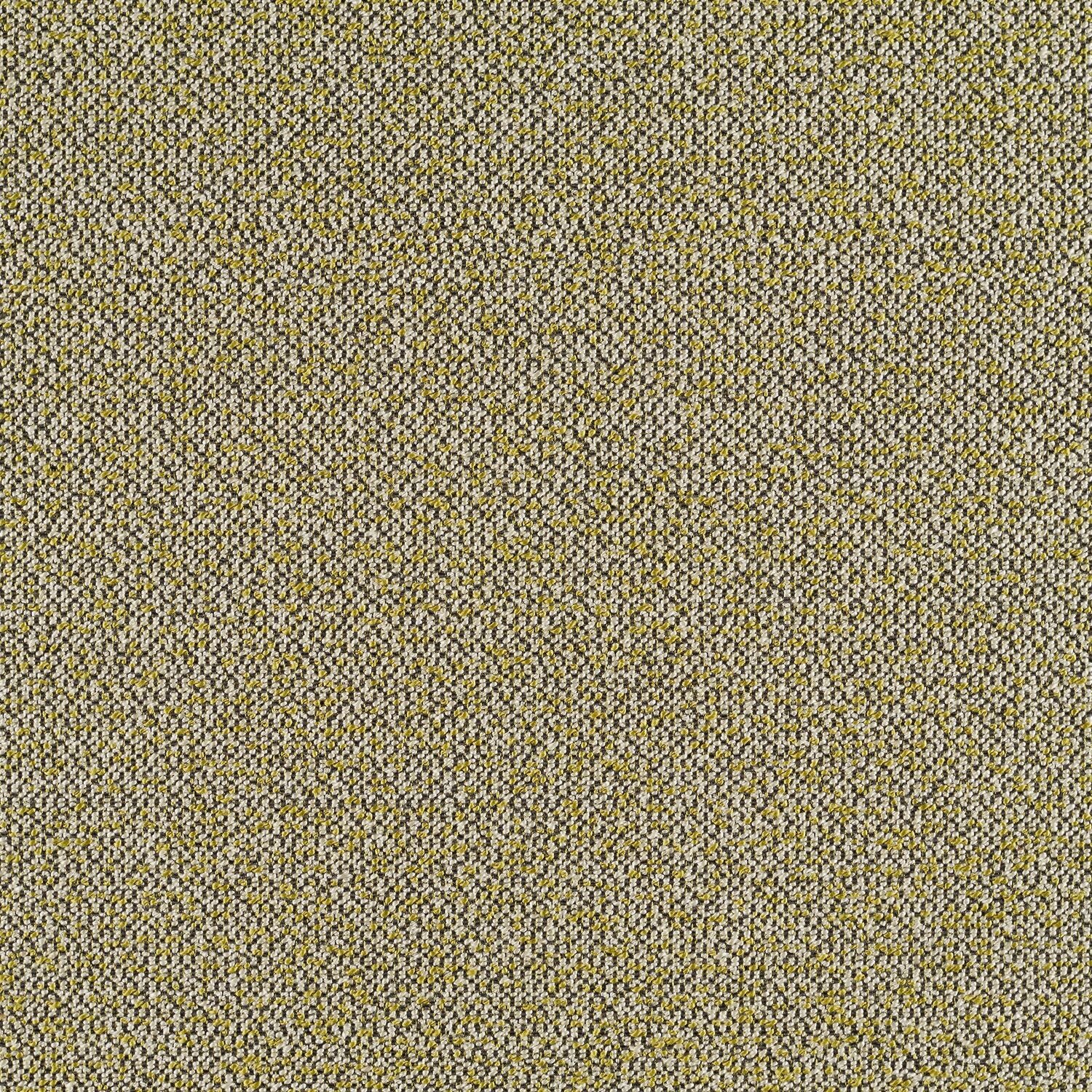Haptic - Isthmus - 4093 - 13