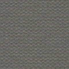 Wired Up - Intermingle - 1017 - 04 - Half Yard