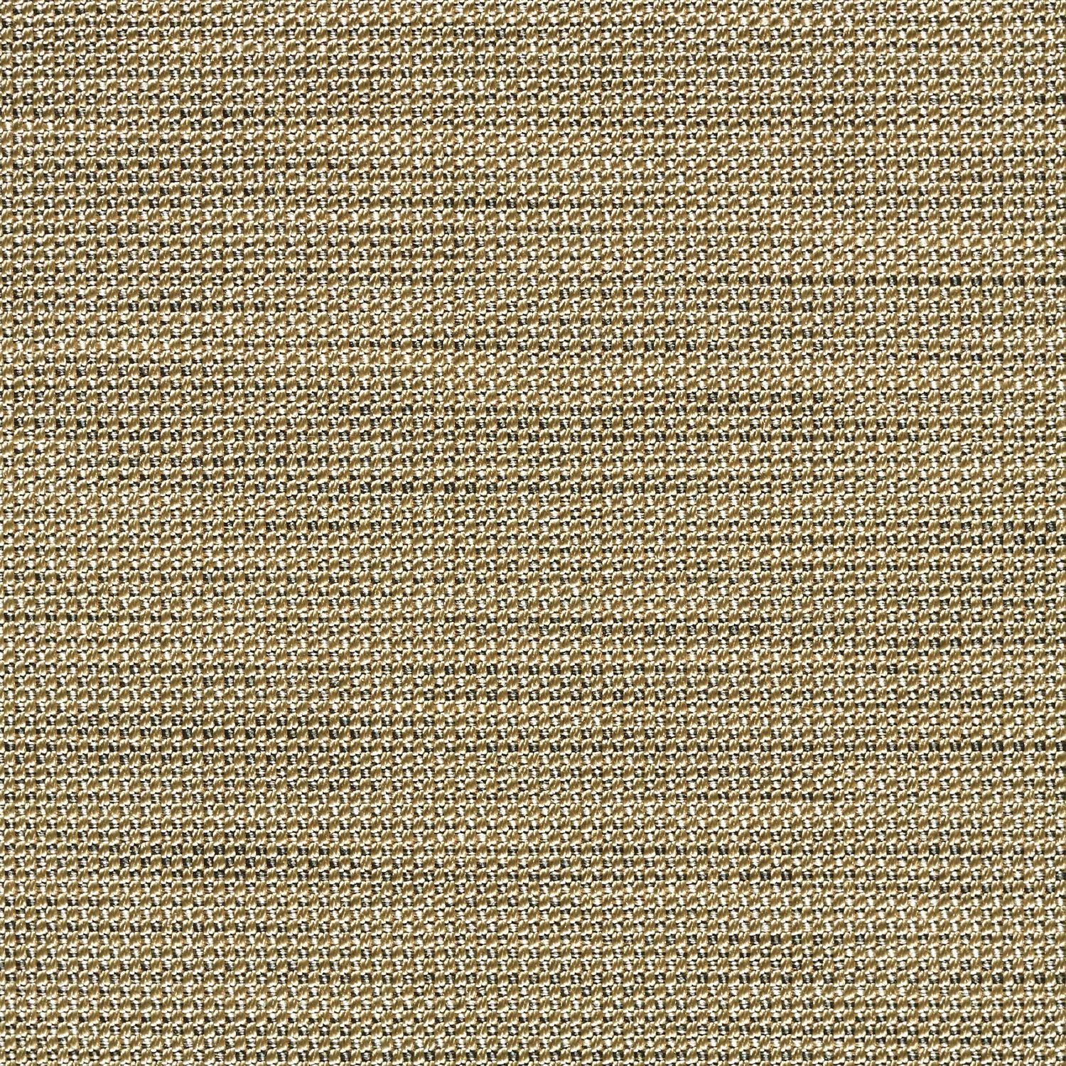 Amalgam - Pyrite - 4051 - 02