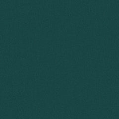 Focal Point - Green Screen - 6002 - 04