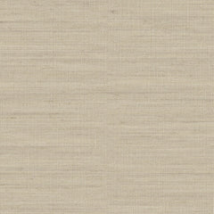 Observation - Ground Level - 6004 - 04