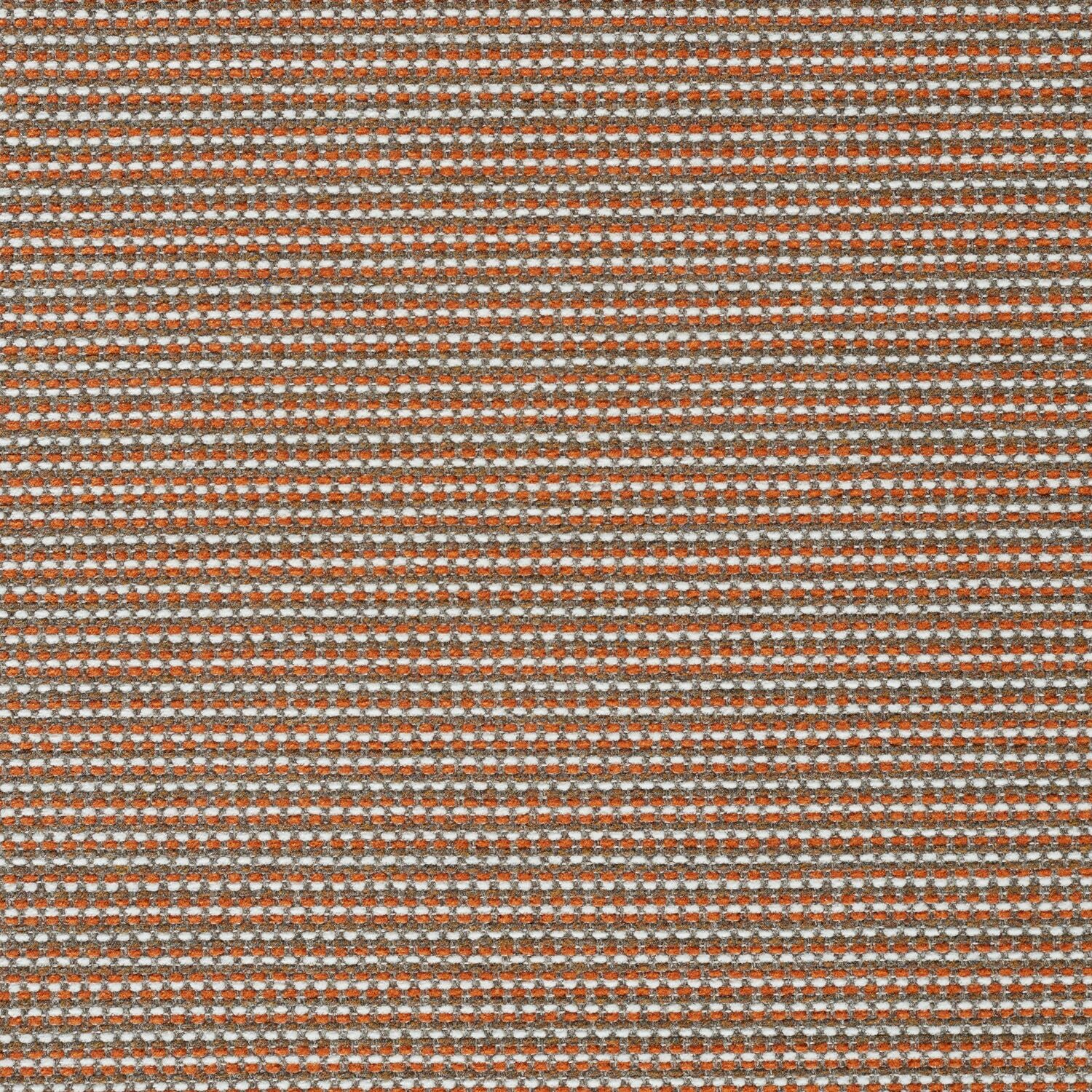 Megapixel - Carotene - 4097 - 03